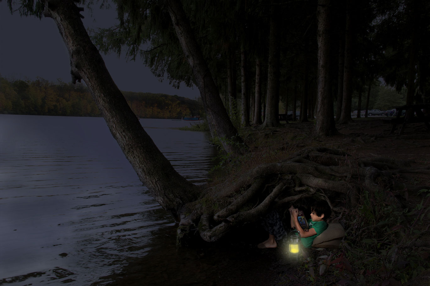 Composite image of boy sitting underneath tree roots reading a book at night